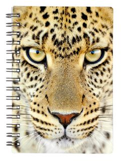 Obrázek z Notes 3D 9x13cm - gepard 